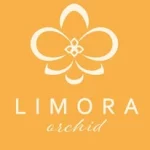 LIMORA orchid｜日式蘭花專賣店